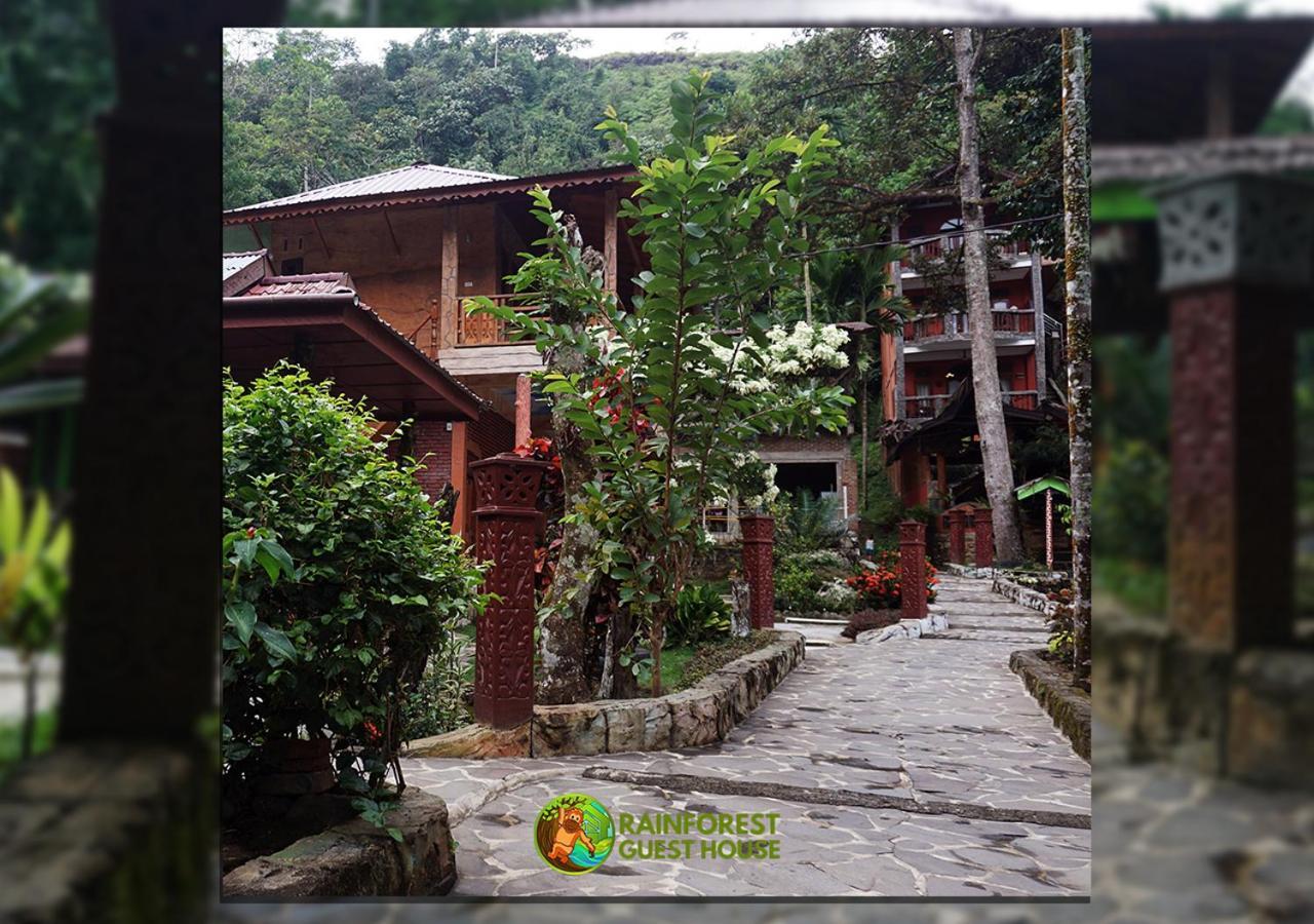 Rain Forest Guest House And Jungle Trekking Букит-Лаванг Экстерьер фото