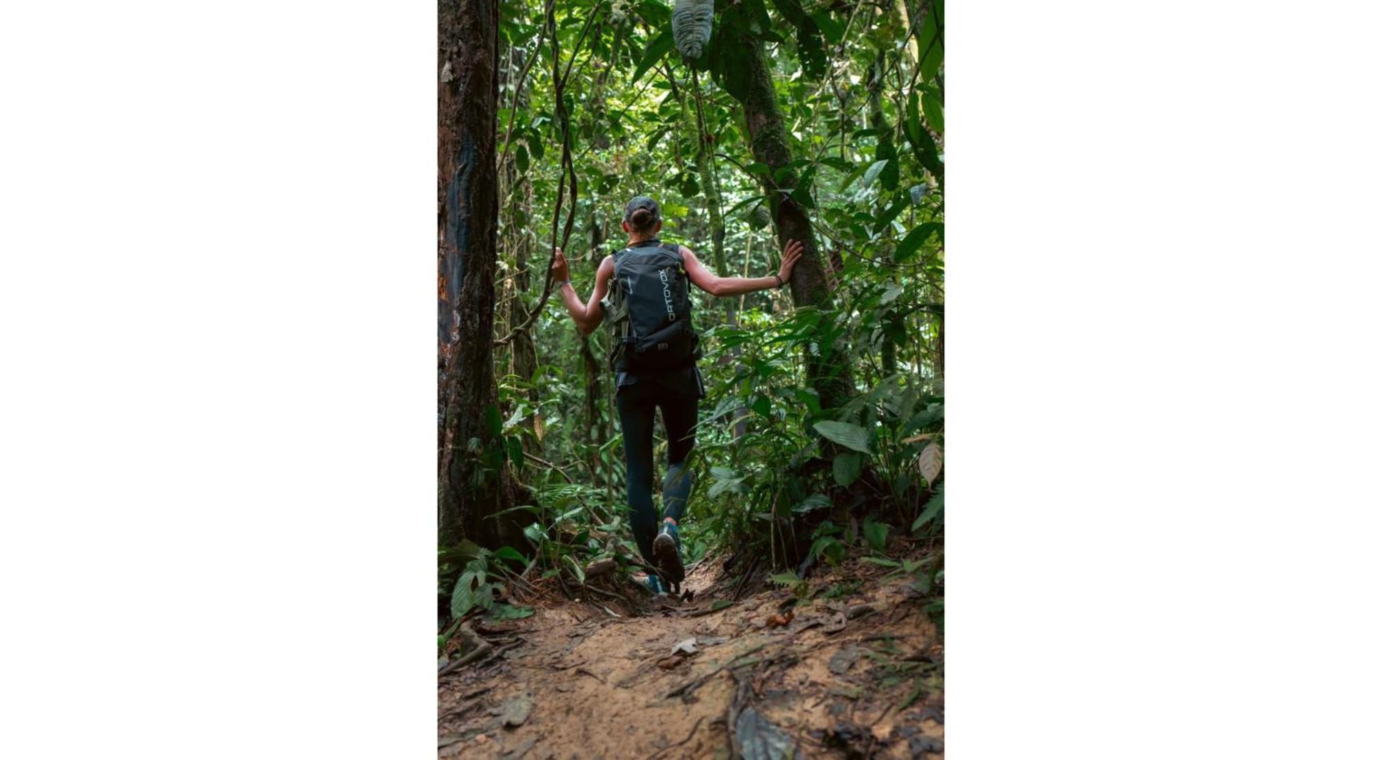 Rain Forest Guest House And Jungle Trekking Букит-Лаванг Экстерьер фото