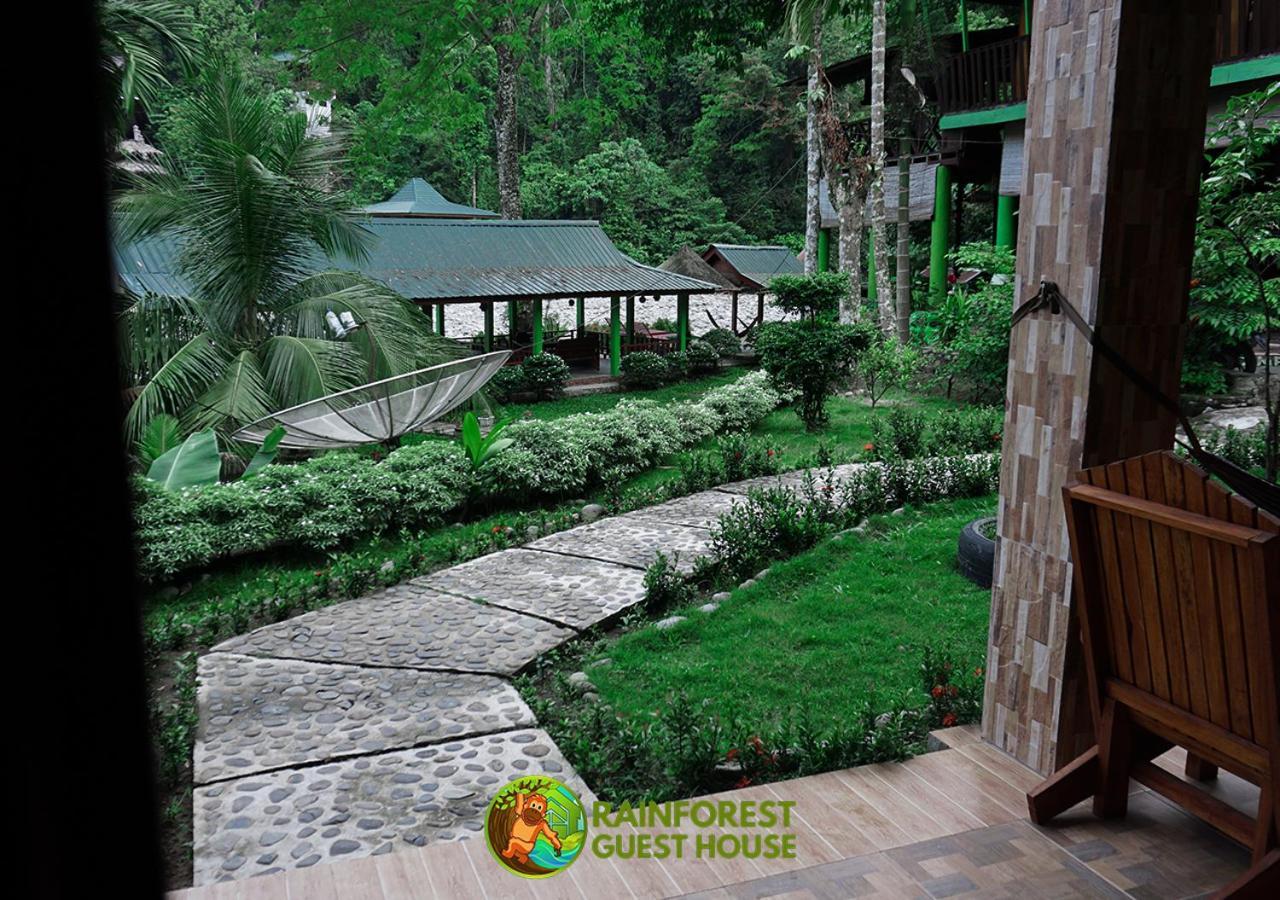 Rain Forest Guest House And Jungle Trekking Букит-Лаванг Номер фото
