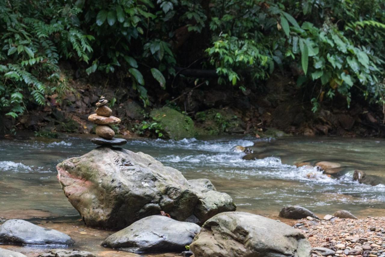 Rain Forest Guest House And Jungle Trekking Букит-Лаванг Экстерьер фото